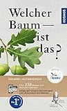 Welcher Baum ist das?