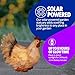 Exhart Solar LED Hen Garden Statue, Hand Painted Durable Resin, Farmhouse Garden Décor, 10