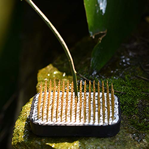 Amosfun Flor Sapo Suporte Redondo Pino de Arranjo Floral Porta Agulha JaponÃªs Ikebana Kenzan para H