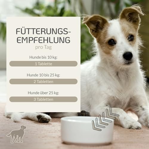 Provicell para-Z-Vital | Mit Tierärzten in Deutschland entwickelt & hergestellt | Schutz für den Hund ohne Chemie | 120 Tabletten