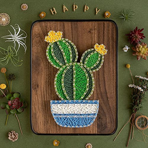 Image of BAZIMA ALICE DIY String Art Kit for Beginner, DIY Cactus Potted Craft Kit,Unique Gift,Craft Kit for Holidays