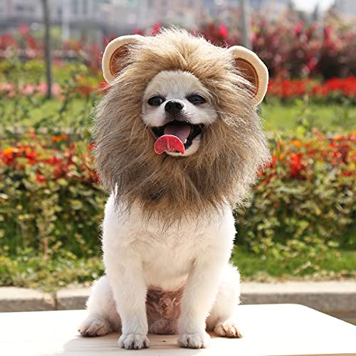 Dog Lion Mane - Funny Lion Mane For Dogs - Complementary Lion Mane For Dog Costumes - Lion Wig For Small Sized Dogs Lion Mane Wig For Dogs (M,Brown) #TOP7