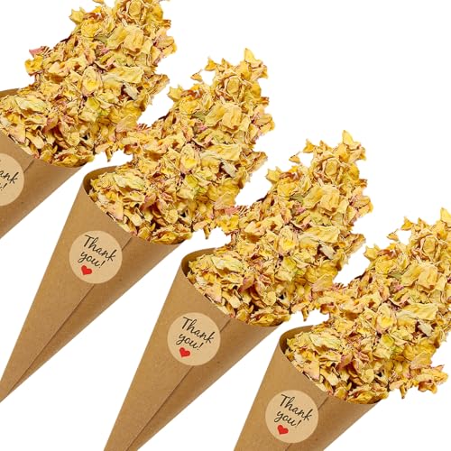 Cornets confettis mariage prêts à assembler avec pétales de rose contre le plastique