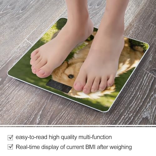 Báscula digital para baño con pantalla LED y vidrio templado miniatura 5