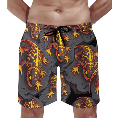 Lava Lizard Men's Swim Trunks Board Shorts Beachshorts Swimsuits with Pockets Mesh Liner