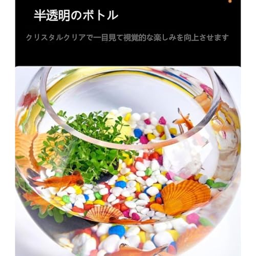 otoye オフィス 小型水槽 透明ガラス カメ リビング 丸型金魚室内装飾 (40cm) の商品画像 3