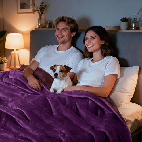 Image of LOOBANI Waterproof Blanket for Bed: Reversible Soft Flannel Queen Bed Blanket 80 inch x 90 inch, Waterproof Dog Blankets for Large Dogs, Spill-Proof Cover for Furniture Protection, Movie Time, Purple