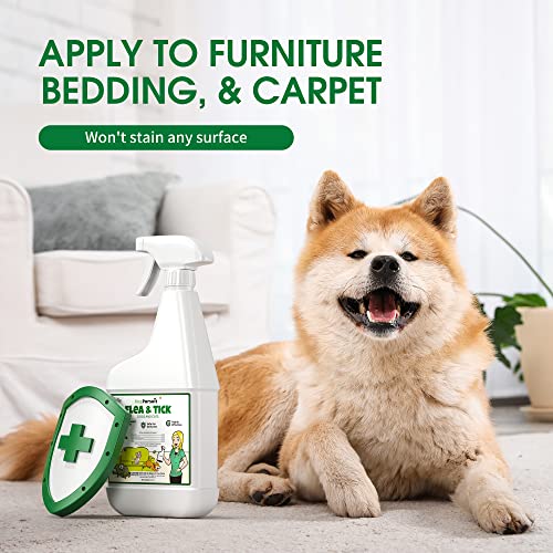 Bugpursuit 24Oz Flea & Tick Spray For Dogs & Cats & Lice, Plant Based Insect Killer Made With Essential Oil, Indoor Or Outdoor Use, Natural Prevention Solution, Pets & Family Safe #TOP3