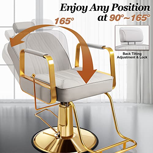 Baasha Barber Chair Reclining Salon Chair For Hair Stylist, All-Purpose Hair Chair With Hydraulic Pump, Profession Hair Salon Chair Shampoo Chair Tattoo Chair, Beauty Salon Equipment, Gray #TOP3