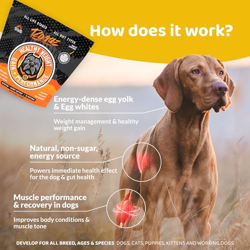 ROGUE PET SCIENCE Healthy Weight - Natural Weight Gainer for Dogs - High Calorie Tasty Dog Food & Cat Food Topper - Supports Weight Gain, Gut Health & Digestion - Helps Provide Natural Energy (2 lbs)