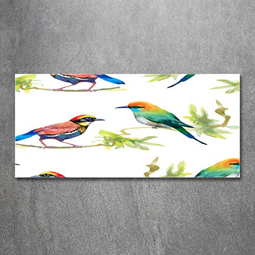 Image verre plastique oiseaux exotiques salon moderne chic
