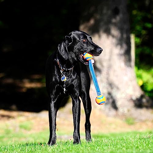 Chuckit! Ultra Duo Tug Dog Toy, Medium Indoor And Outdoor Dog Ball For Dogs 20-60 Pounds #TOP3