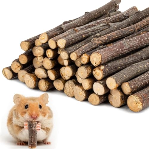 Apple Sticks Bunny Hamster Chew Toy, 100g Apple Branch Tree Sticks Organic Molar Pet Wood Snacks, Apple Sticks Pet Chew Toys for Chinchilla Guinea Pigs Rabbits Animals Molar Wood Treats Toys