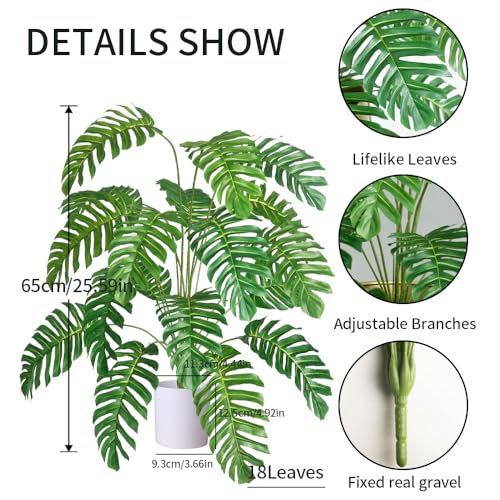 Consejos y comparativas para Comprar Palmera canaria que Puedes comprar On-line. 12 Imagen adicional