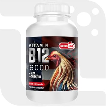 B12 6000 Poultry Vitamin for Chickens & Roosters Supports Energy - Nutri-Line 100 Tablets