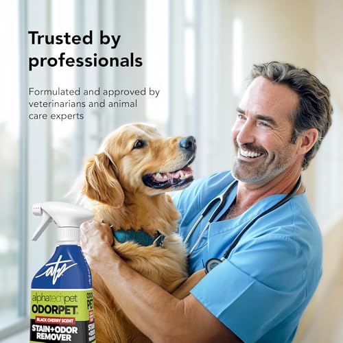 Image of OdorPet Pet Stain Remover and Odor Eliminator - 16 Oz Ready To Use Spray, Non Staining, Professional Strength, Black Cherry Scent by Alpha Tech Pet