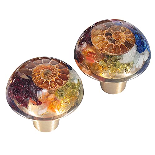 mookaitedecor Juego de 2 pomos de piedra de cristal de chakra con tornillos, resina fósil de amonita, tiradores de piedra de cristal Reiki, tiradores para tocador, armario, cocina, ropero, decoración