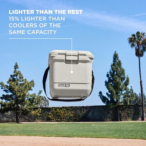 walk in cooler 2026 34