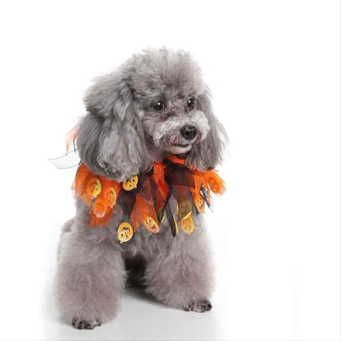 Disfraz de Calabaza para Perro Halloween Tutú Collar Elástico Accesorio miniatura 2