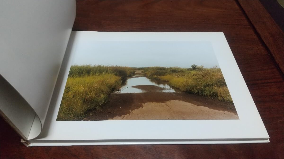 清野賀子　Seino Yoshiko Amazon.co.jp: 古書 清野賀子 THE SIGN OF LIFE SEINO YOSHIKO