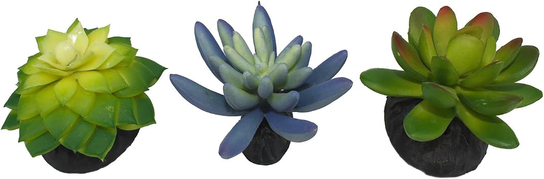 Komodo Reptile Terrarium Succulent 3PK Blue/Green Plants | Natural Looking Artificial Aquarium Ornament & Habitat Decoration Accessory with Weighted Base