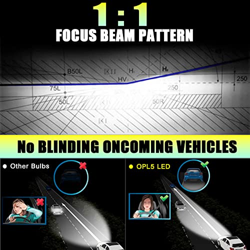 OPL5 Lampadine H7 LED per Fari, 40W 10000LM 6500K
