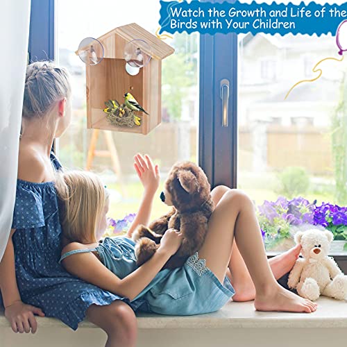 Edudif Wooden Window Bird House With Suction Cup And Lanyard Hanging Diy Bird House For Kids Outdoor Bird Nest Transparent Design For Easy Observation #TOP3