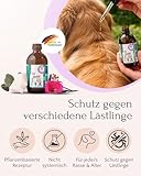 FAVLY – ZecOFF Zeckenschutz 50ml für Hunde ab 2kg – Spot-On gegen Zecken, Flöhe & Mücken – pflanzlich basiertes Zeckenmittel mit Saltidin, Neemöl, Eukalyptus, Geraniol – Zeckenabwehr ohne Nervengift