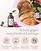 FAVLY – ZecOFF Zeckenschutz 50ml für Hunde ab 2kg – Spot-On gegen Zecken, Flöhe & Mücken – pflanzlich basiertes Zeckenmittel mit Saltidin, Neemöl, Eukalyptus, Geraniol – Zeckenabwehr ohne Nervengift