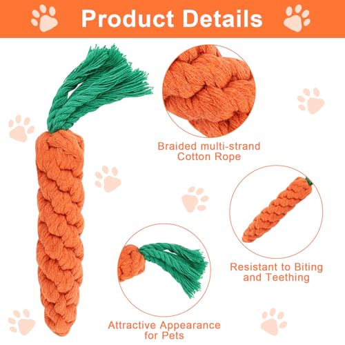 Parastar 3 Stück Hundespielzeug Karotte,Hundespielzeug für Kleine Hunde Welpenspielzeug Set,Puppy Karotte Seil Spielzeug Geflochtene,Kauspielzeug Welpe für Kleine Mittelgroße Welpen