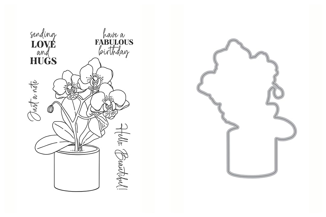 Ellen Hutson, Essentials by Ellen, Mondo Orchid Stamp & Die Set Combo