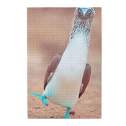 (9) 1000s[X WO\[pY l jЂȂ J`ƃn} a  CeA MtgnEX i75×50cmj