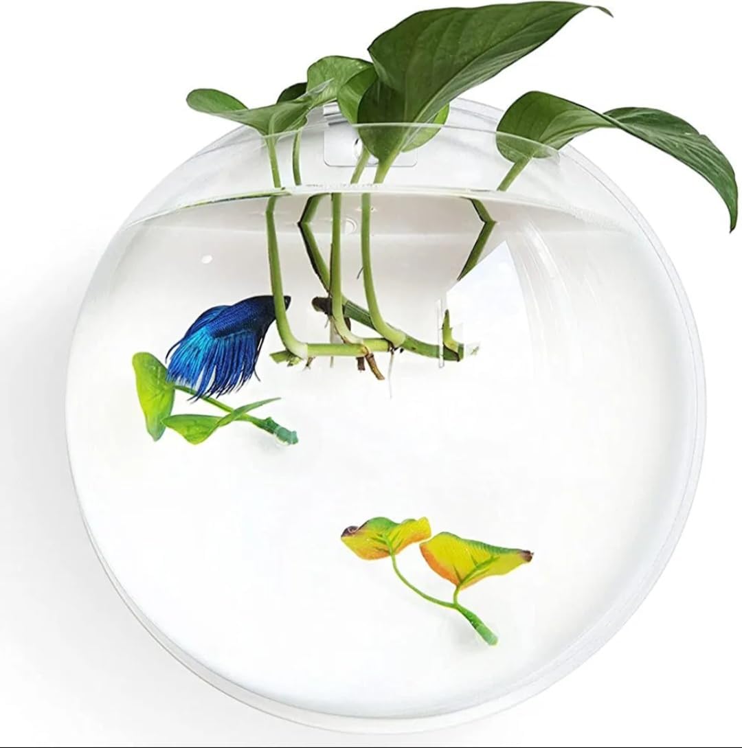 CAS (15 INCHES Large Size 8 litres) White Wall Mount/Wall Hanging Fish Bowl (NO Plastic) 100% Durable Long Lasting Acrylic (not Glass,) Rust and Weather Resistant with Free Colour Pebblestone (B0CN4WVTJG) Amazon Price History, Amazon Price Tracker