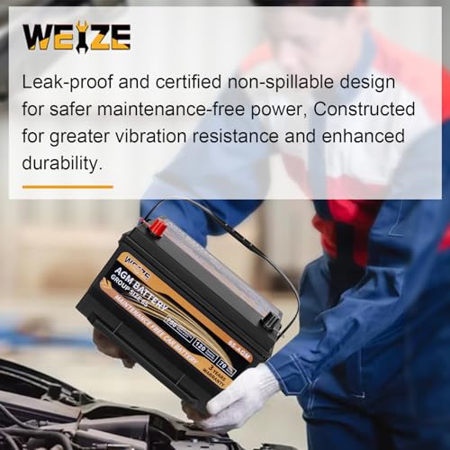Weize Platinum AGM Group 65 Battery