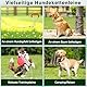 Schwerlast 30FT Metall-Hundekettenleine, Kaussicher & Rostfest, Mit Drehbarem Haken, Outdoor Hundebindekabel für Garten, Camping & Training, Für Mittel- bis Großhunde bis 150lbs