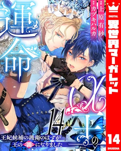 α王の運命～王妃候補の護衛のはずが王の番になりました～ 14 (異世界マーガレット)