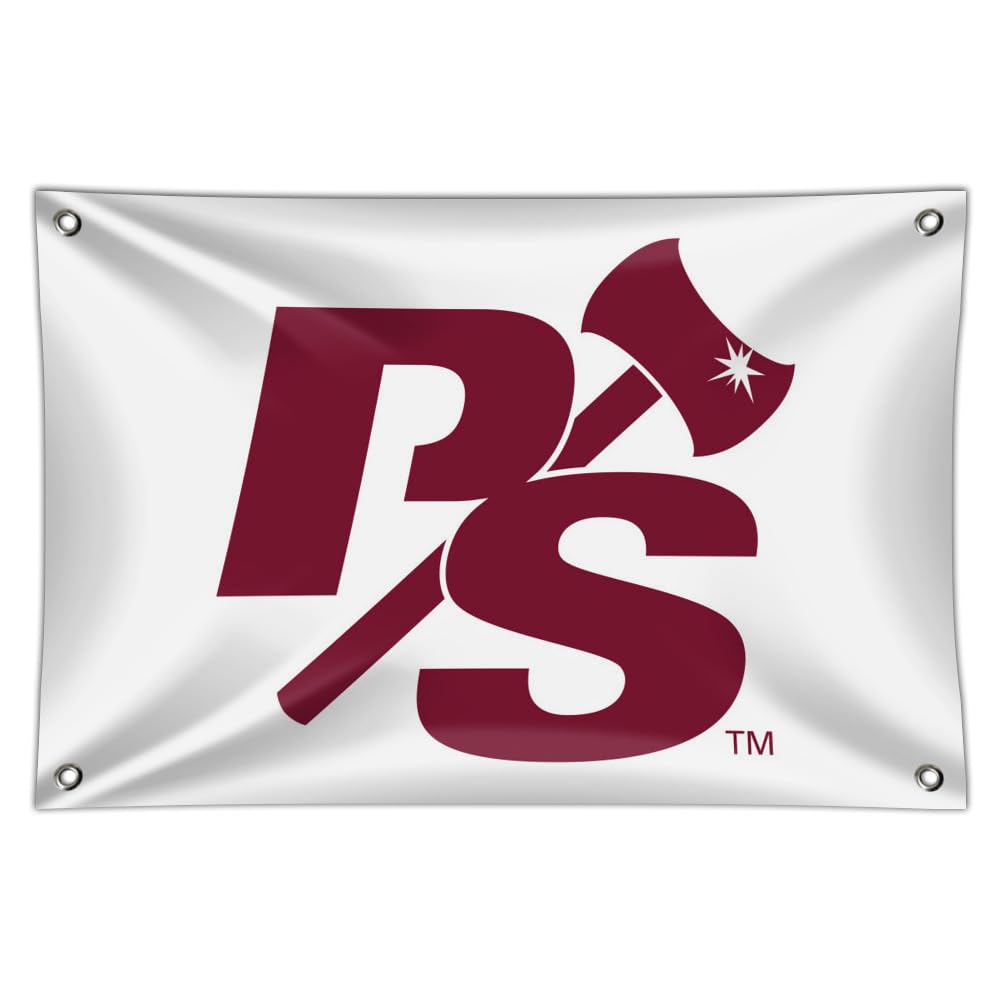 University of Puget Sound Primary Logo Home Business Office Sign - Vinyl Banner - 22" x 33" (56cm x 84cm)