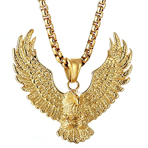 JAJAFOOK Mens Cool Gothic Tribal Stainless Steel Hawk Eagle Pendant Necklace, 20 inch Chain,Silver with Black