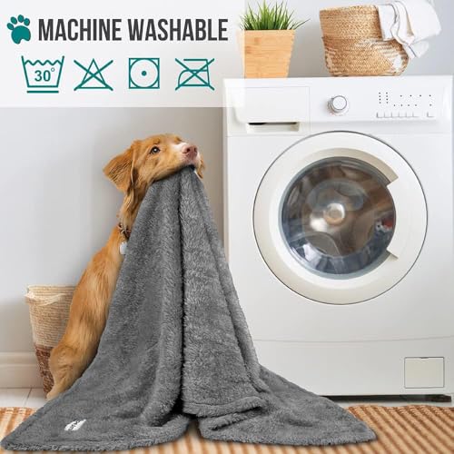 Image of PetAmi Dog Blanket for Small Medium Dogs Grey, Fluffy Soft Puppy Blanket, Sherpa Fleece Cat Blanket for Kitten Doggie, Calming Pet Blanket Throw for Couch Sofa Bed Washable, Medium 29x40