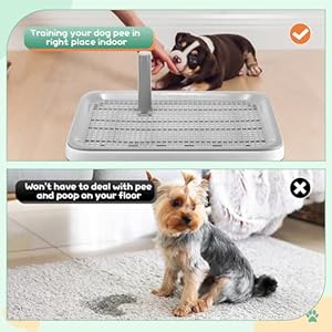 2 Pack Puppy Pee Pad Holder Easy Clean Dog Potty Tray with Diversion Column Nonslip Heighten Dog Litter Box Corner Floor Protection Portable for Small Medium Dog Indoor White20x15x15 Inch  Cucciolini Doodles 2 pack puppy pee pad holder easy clean dog potty tray with diversion column nonslip heighten dog litter box corner floor protection portable for small medium dog indoor white20x15x1 5 inch   cucciolini doodles