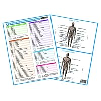 Chiropractic Cheat Sheet For 2020 : Icd-10-Cm 1640720901 Book Cover