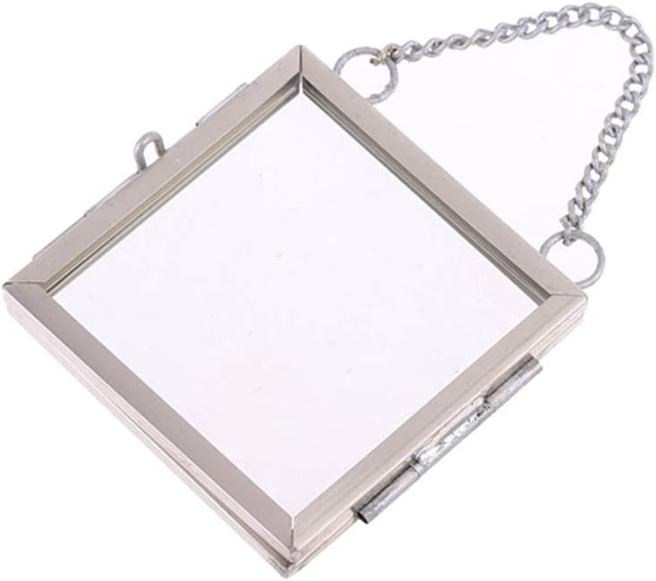 DIY Hanging Glass Metal Photo Picture Frame Flower Plant Specimen Display Decor