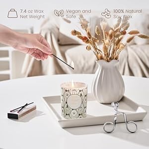 M&SENSE Christmas Holiday Candle - Frosted Pine Scent, 7.4oz Soy Wax, Ideal Winter Home Decor Gift for Women and Girls MSENSE Christmas Holiday Candle Frosted Pine Scent 74oz Soy Wax Ideal Winter Home Decor Gift for Women and Girls