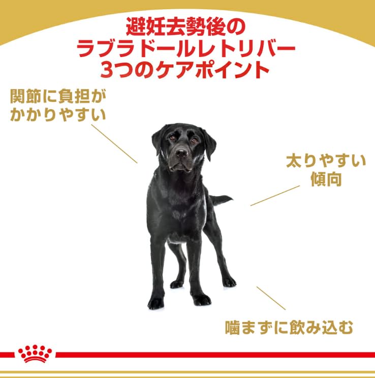 Amazon.co.jp: ロイヤルカナン bhn ラブラドールレトリバー
