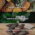 M&SENSE Natural Soy Candle| Eucalyptus Spearmint | 5.3 oz | Minimalist Christmas Scented Candle for Relaxation, Gifting, Home Décor | for Bedroom, Office, Party Small - Image 2