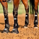 Professional's Choice 2XCOOL Sports Medicine Horse Boots | Protective & Breathable Design for Ultimate Comfort & Durability in Active Horses | Value 4 Pack | Medium Black - Image 2