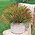 Artificial Fake Flowers Outdoor Plants for Summer Decoration,10 Bundles Faux Plastic Tall Monkey Grass Greenery UV Resistant Realistic Lavender for Home Planter Window Porch Garden-Red