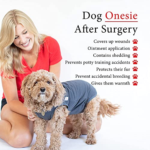 BellyGuard Hundebody nach OP für Hündin & Rüde, OP Body Hund Kastration Hündin, Hunde Body Operation Hündin, Body für Hunde nach OP & Hundebody nach Kastration Rüde, Alternative zu Halskrause