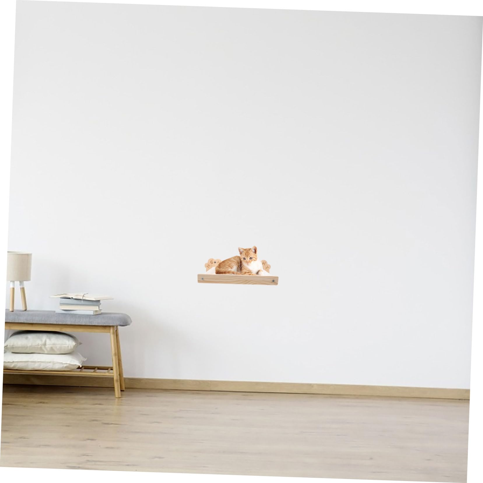 Yardwe Gabbia Per Gatti Da Parete Amaca Per Gatti Sospesa Letto Per Gattini Da Interno Cuccia Per Animali Domestici Facile Da Installare Design Semplice Robusto e Capacità Portante