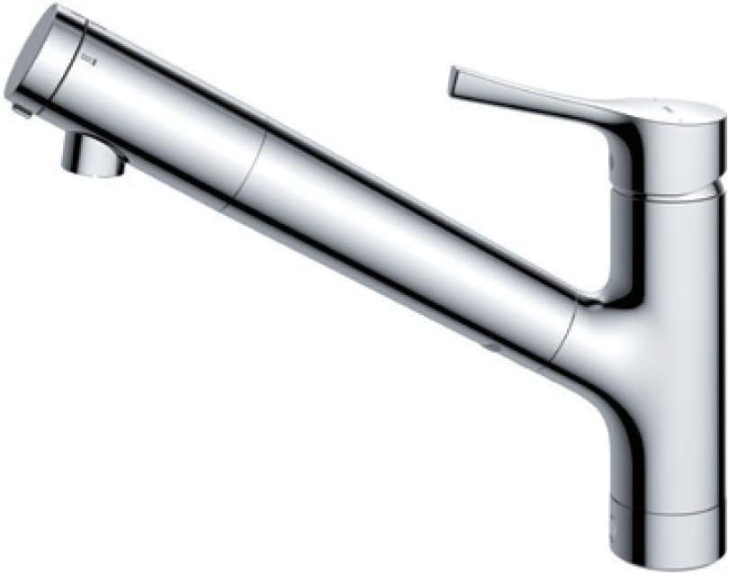 観葉流木付け アスプレニウム マドカズラ シンゴニウム スイカぺぺ